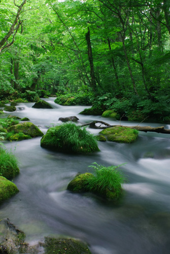 ‰œ“ü£Œk—¬